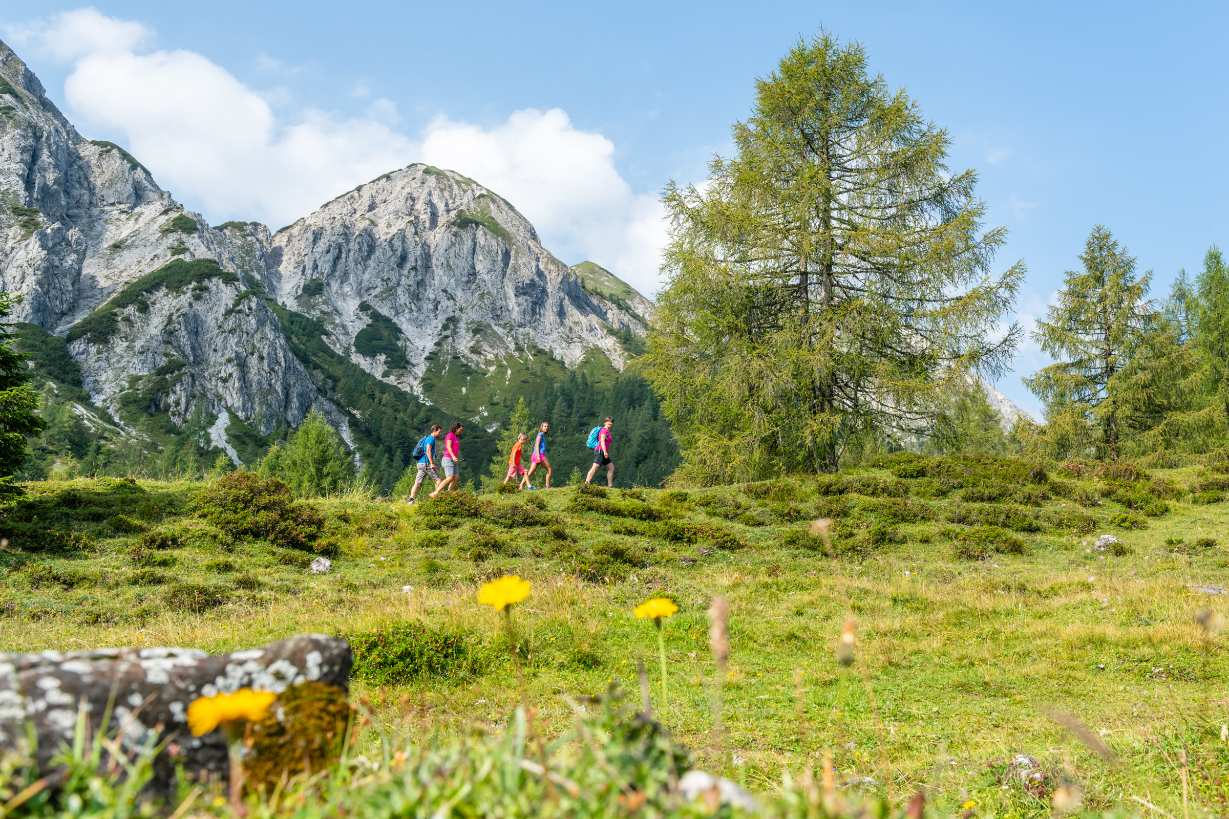 18_altenmarkt-zauchensee_sommer_wandern_gefuehrtewanderung_8