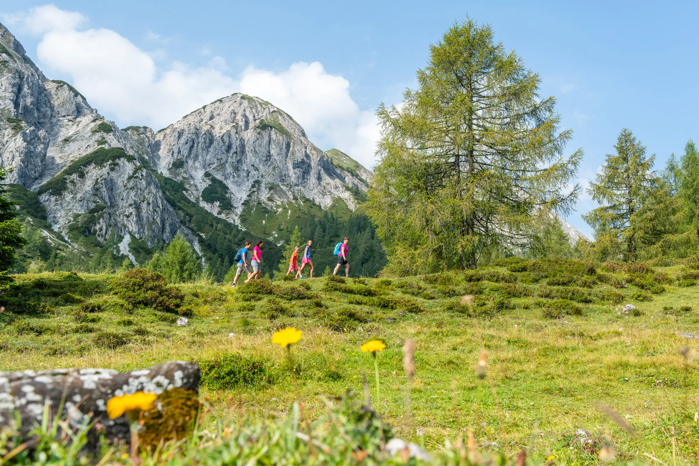 18_altenmarkt-zauchensee_sommer_wandern_gefuehrtewanderung_8
